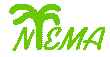 NTEMA (P&aacute;gina web)