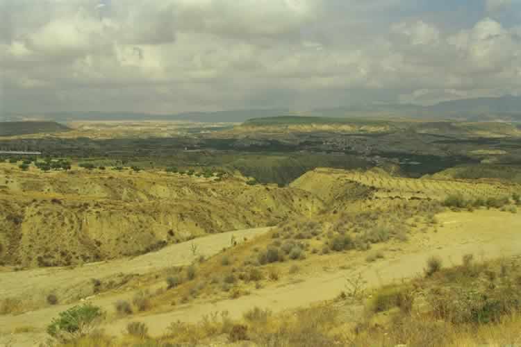 Agricultura de secano y regad&iacute;o (T&ordm; de Albudeite)