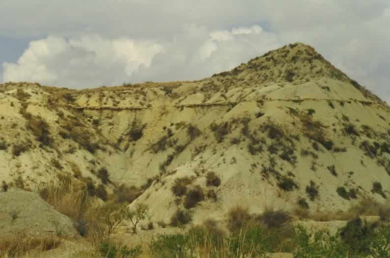 C&aacute;rcavas con tendencia a crear estructuras monoclinales y encostramientos (T&ordm; de Albudeite)