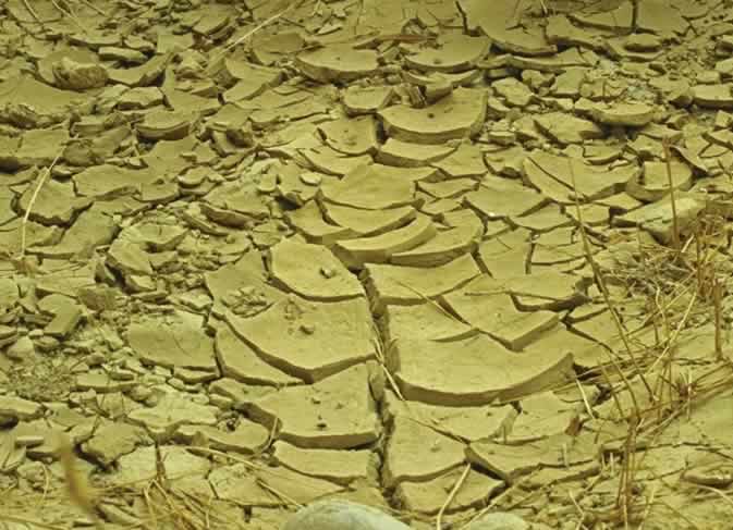 Fen&oacute;meno de hidroclastia dando lugar a suelos descamados y poligonales. Detalle (R&iacute;o Mula)