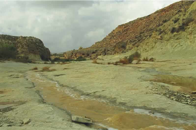 Curso anastomosado mostrando los hilos de agua (R&iacute;o Mula)