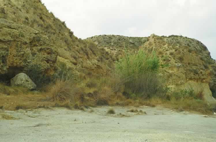 Laderas de rambla mostrando retama, juncos, arcillas deleznables y tobas (R&iacute;o Mula)
